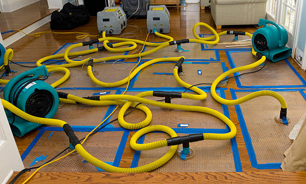 Professional Basement Flood Cleanup technician working in Rickreall, OR